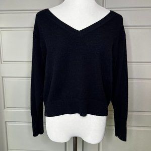 Everlane Navy 100% Cashmere Sweater V-Neck